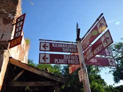 Walt Disney World, Animal Kingdom