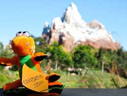 Walt Disney World, Animal Kingdom