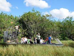 Everglades, hovercraft