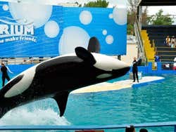 Miami Seaquarium
