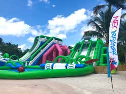 Jungle Park