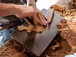 Cuban Tobacco