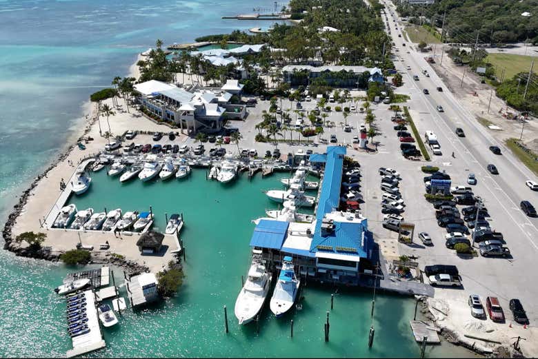 Admire Key West's scenery