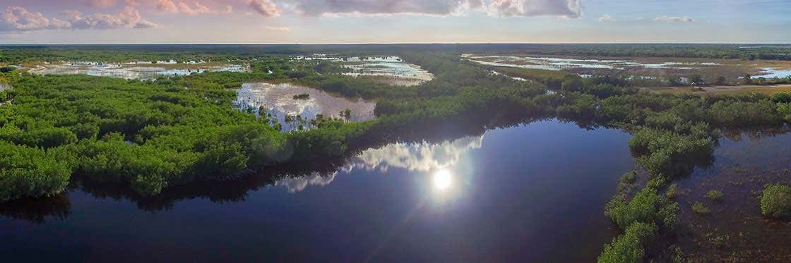 Everglades