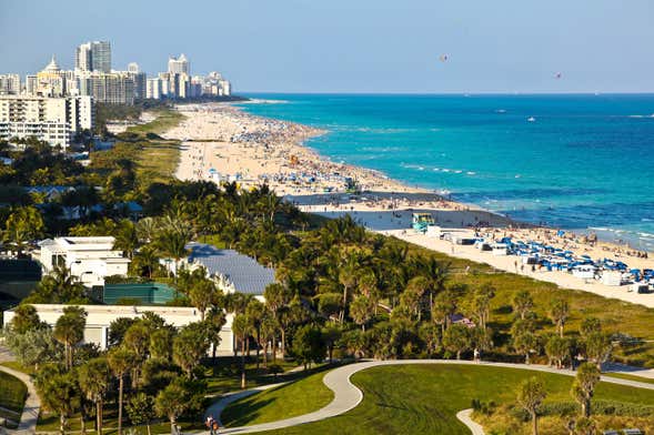 Miami & Everglades Tour
